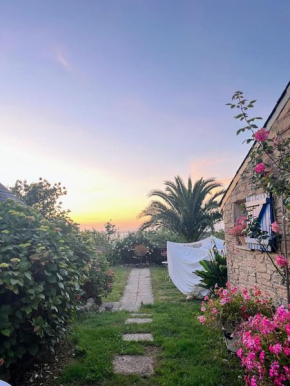 Maison conviviale 8 personnes, vue mer, animaux acceptés